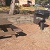 Gas BBQ Areas